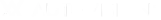 white autovisions logo